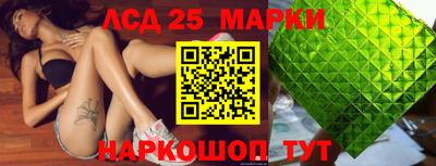 гашик Аргун