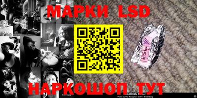гашик Аргун