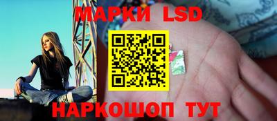 гашик Аргун
